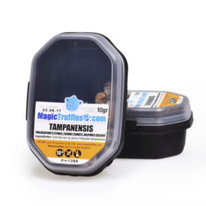 500 gram – Tampanensis – Magic Truffles XXXL Family Pack