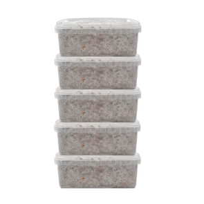 Fresh Mushrooms Grow Kit Discount 5 Pack